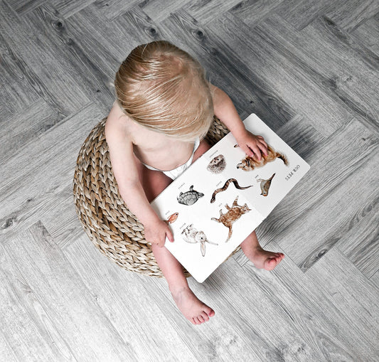 Our big book of first words