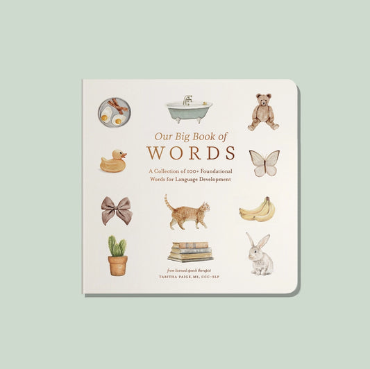 Our big book of first words