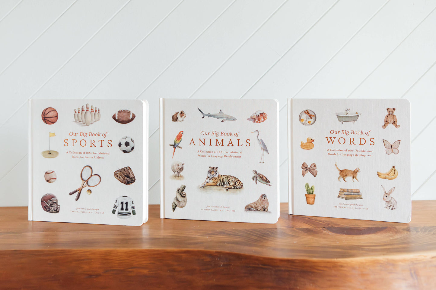 Our Big Book of Sports (Board Book)