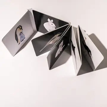 Black and white contrast book for baby