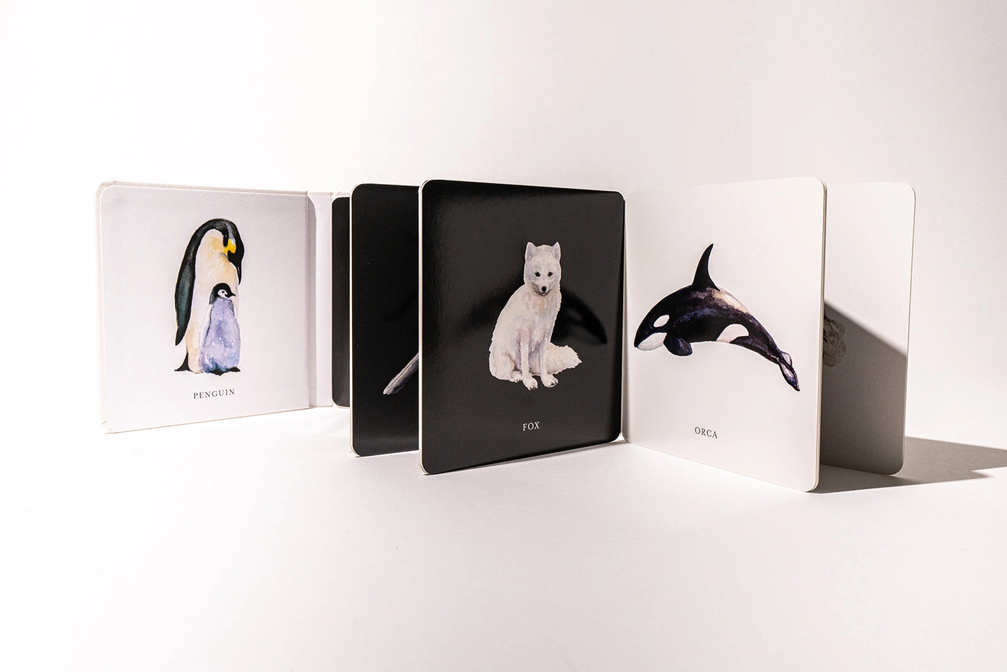 Black and white contrast book for baby