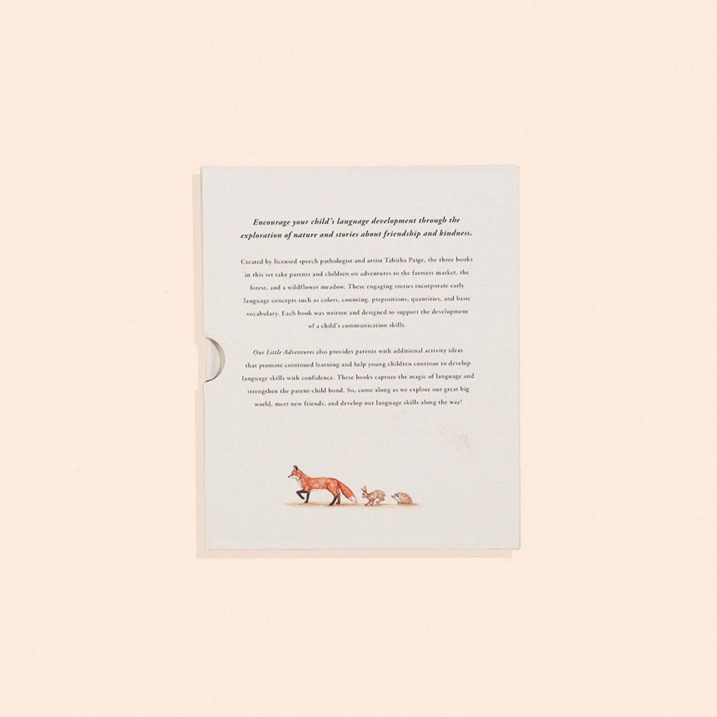 Our Little Adventures Board Book Box Set for Kids